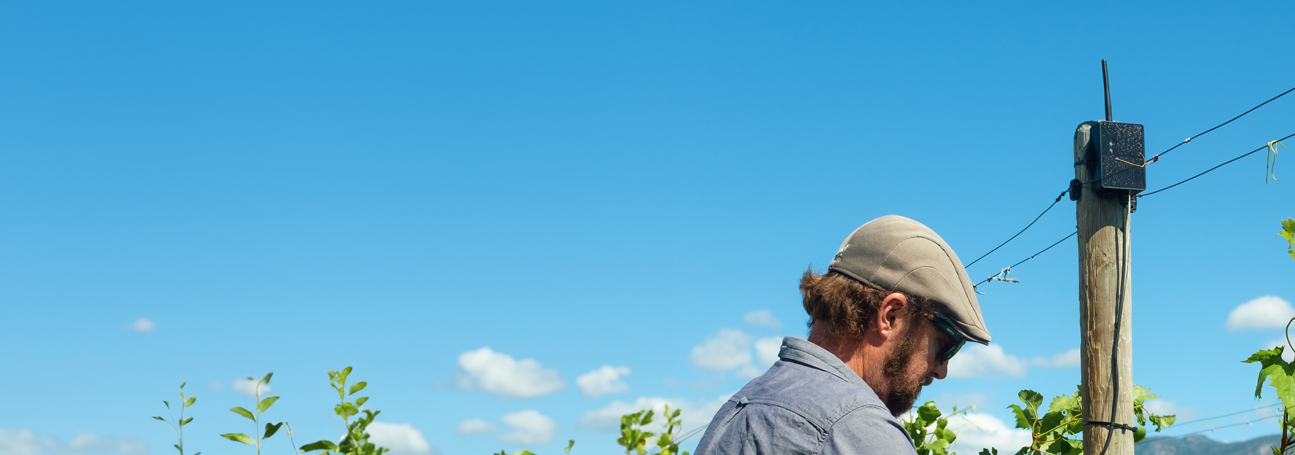 Water prices for growers keep going up. Controlling use with irrigation automation can help reduce usage